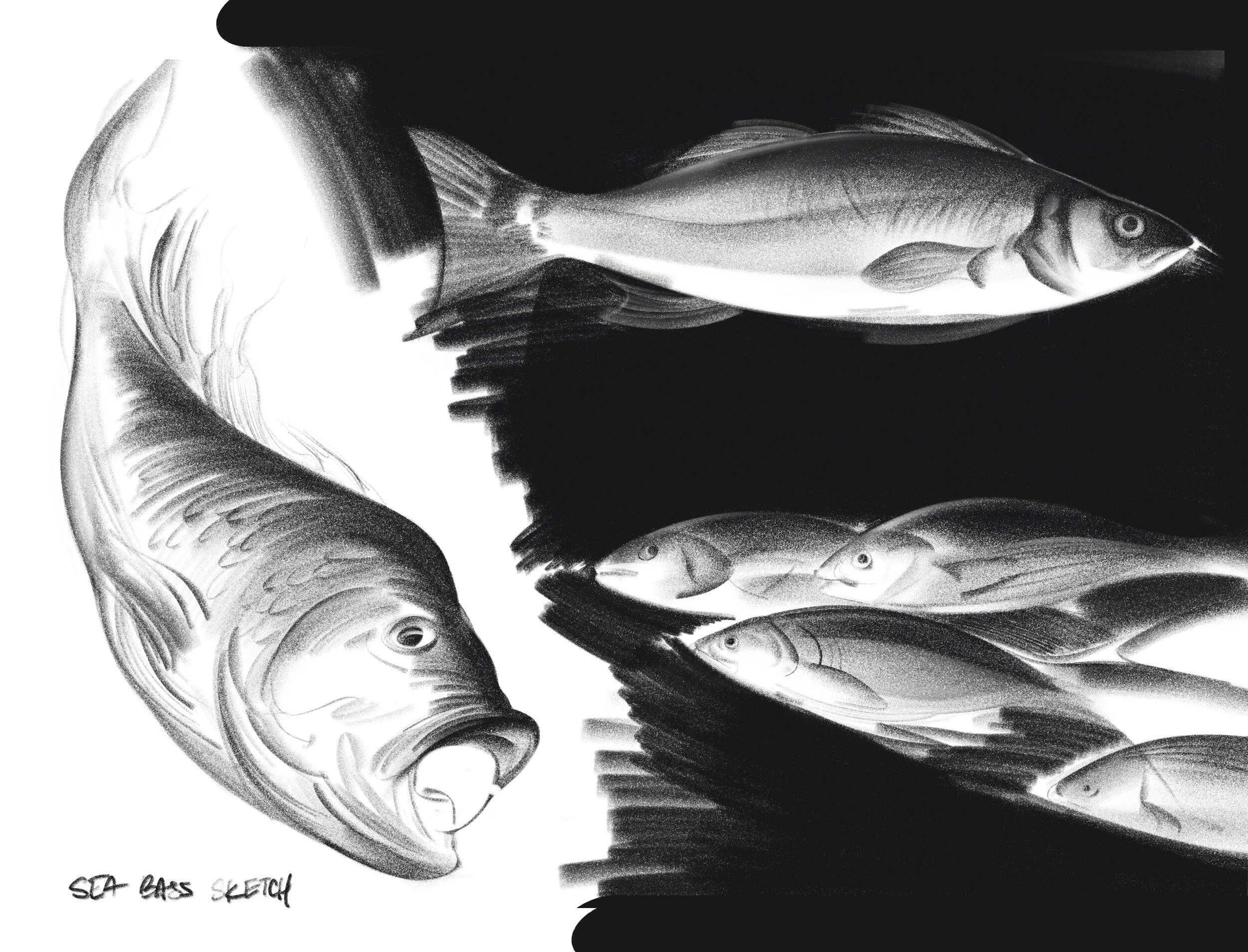 Fish.jpg